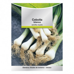 Semillas Cebolla Blanca (4 gramos) Semillas Verduras, Horticultura, Horticola, Semillas Huerto.